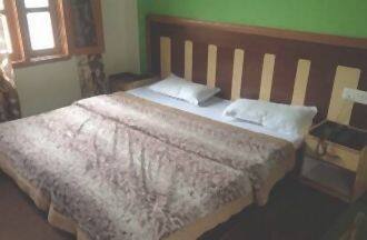 Hotel Green Park, Manali 3